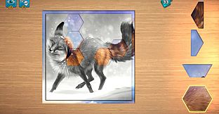 Puzzle Book: Complete Edition