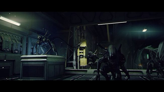 Aliens: Colonial Marines: Stasis Interrupted