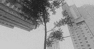 Fallgrade