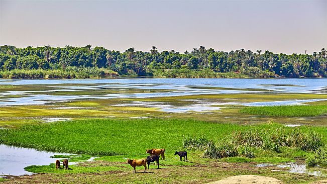 Puzzle Monarch Nile River Wall Papers