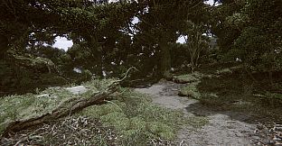 Remote Knights Online