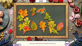 Around The World: Travel To Canada Collector's Edition