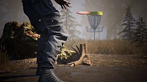 FLEX Disc Golf