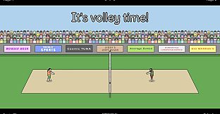 Actual Volleyball
