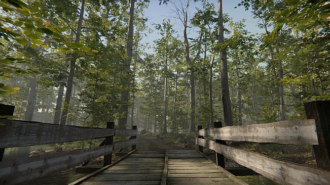 Camping Vlog Simulator 2024