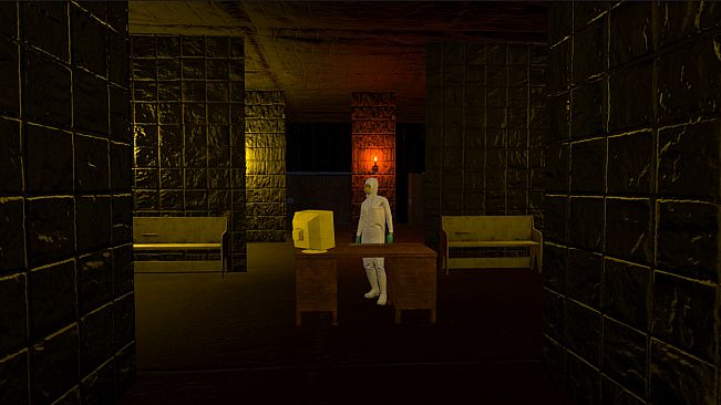 Twelve Mental Patients