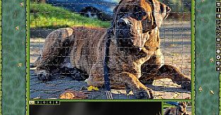 Pixel Puzzles Traditional Jigsaws Pack: Canarias