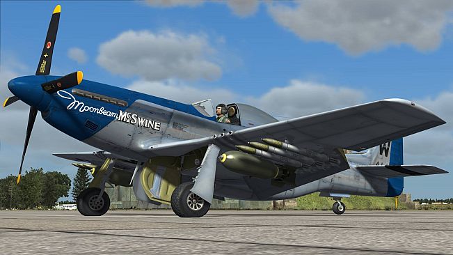 DCS: P-51D Mustang