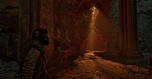 Salvation: Echoes of War