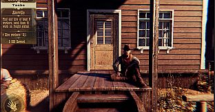 Western City Renovator