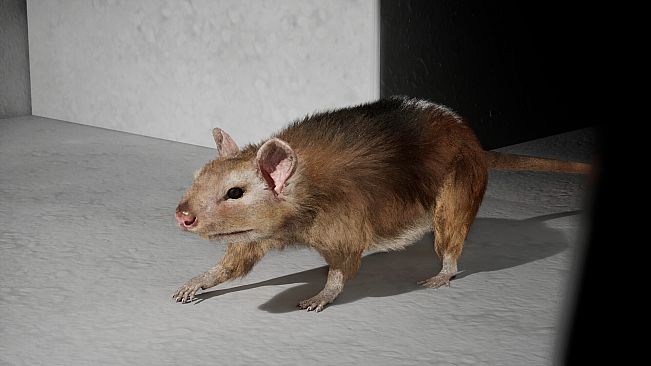 I Keep Reincarnating as a Rat in the Mad Scientist's Maze