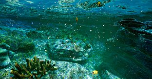 Deep Diving Adventures 2