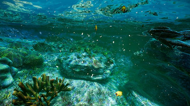 Deep Diving Adventures 2