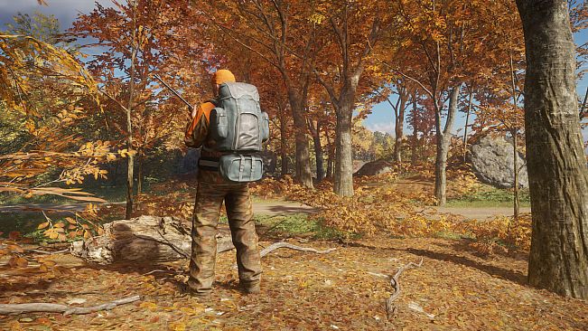 theHunter: Call of the Wild - Backpacks
