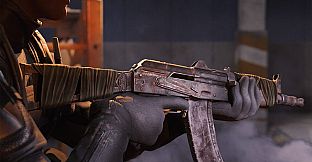 Insurgency: Sandstorm - Accolade Set Bundle