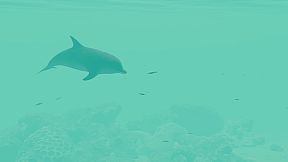 Nature Treks: Together