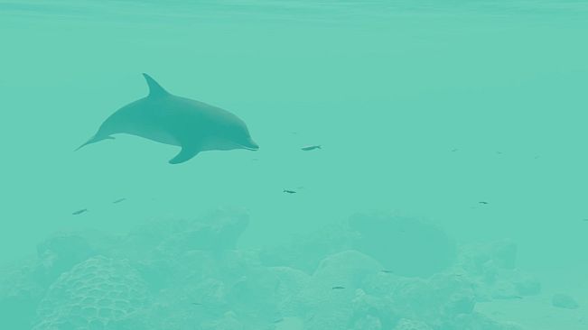 Nature Treks: Together