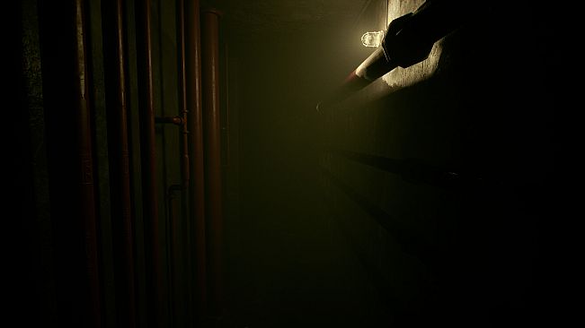 Echoes in Darkness