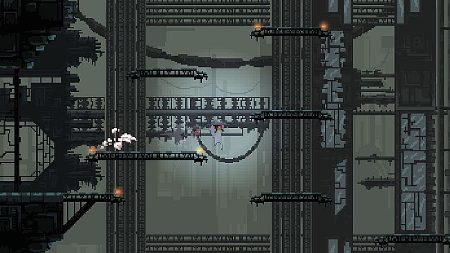 Project: Fractunum
