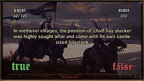 Medieval Questionnaire