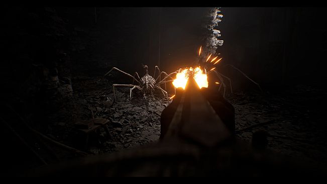 Ritual Tides