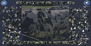 Virtual Jigsaw Puzzles - Animals