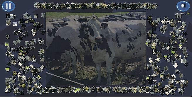 Virtual Jigsaw Puzzles - Animals