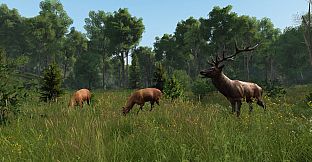 DayZ Livonia