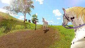 The Unicorn Princess