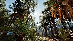 The Backrooms Company