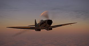 IL-2 Sturmovik: Spitfire Mk.XIVe with Teardrop Canopy