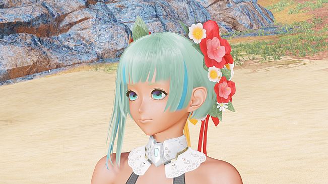 Phantasy Star Online 2 New Genesis - Aelio Nager Renewal Pack