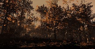 The Village: Soundtrack