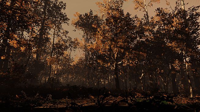 The Village: Soundtrack