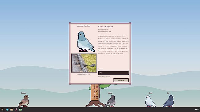Dear Pigeon