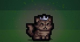 Queen Muffin the Cat Pet