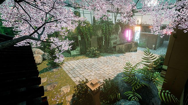 NearPrime VR - Net Burn