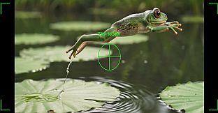 Moment Hunter