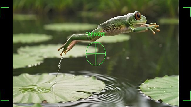 Moment Hunter
