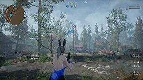 Bunny Battle