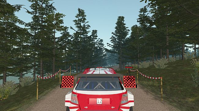 Virage Rally