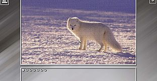 Super Jigsaw Puzzle: Generations - Random Animals Puzzles