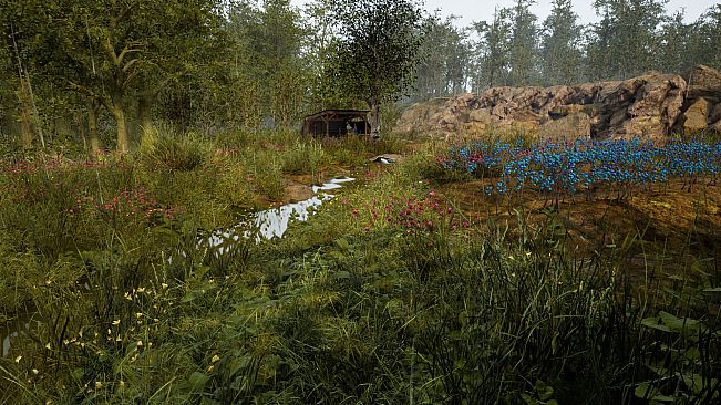 RTD - Road to Desolace