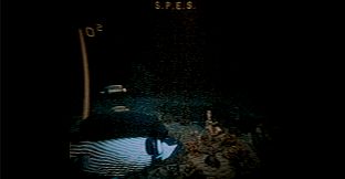 Through The Murky Water