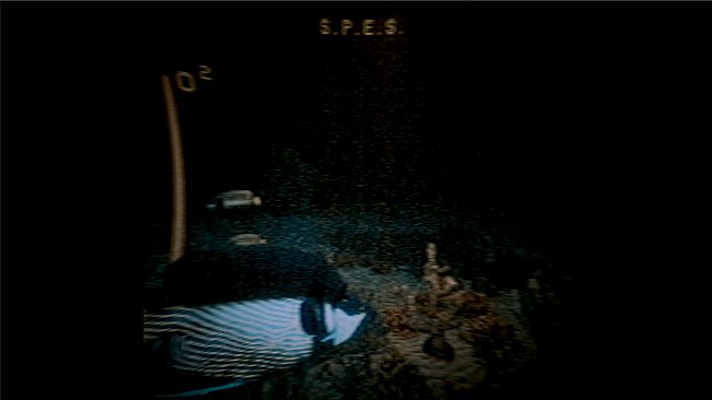 Through The Murky Water