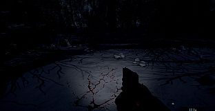 Wraith Rage: A Shadow's Choice