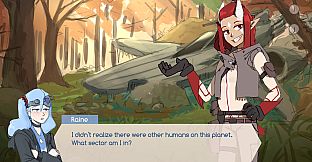 A Field of Flowers and Stars