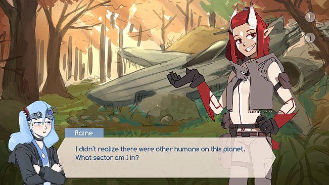 A Field of Flowers and Stars