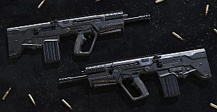 Insurgency: Sandstorm - Black Powder Weapon Skin