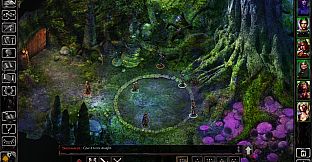 Baldur's Gate: Siege of Dragonspear